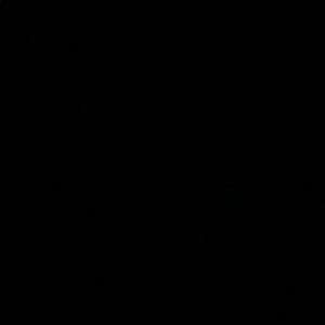 Meet your Posher, Rosa